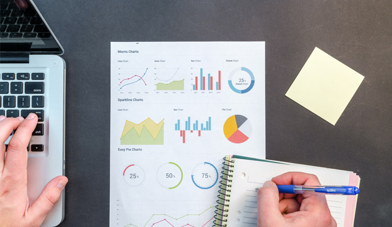 Consumer Credit Report